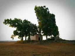 Nuraghe di San Lussorio