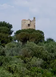 Torre Hidalgo