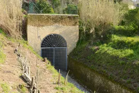 Grotta di Cocceio