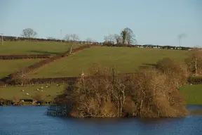 Loughbrickland Crannóg