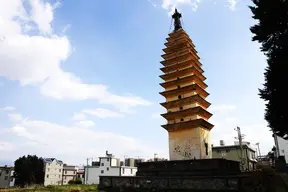 Snake Bone Pagoda