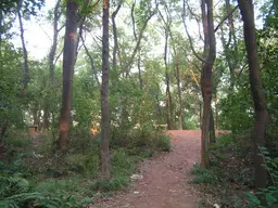 Mawangdui Han Tombs