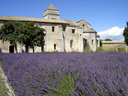 Prieuré de Saint-Paul-de-Mausole (ancien)