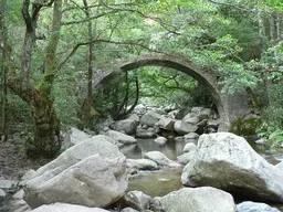 Zaglia Bridge