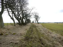 ROMAN ROAD - Devil's Causeway