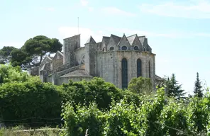 Abbaye de Vignogoul