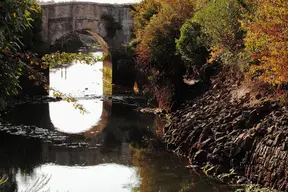 Pont Napoléon