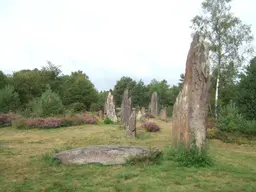 Menhirs de Monteneuf