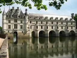 UNESCO Fleur de Loire