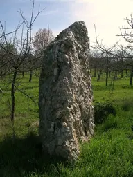 Menhir dit la Grosse Pierre de la Bergerie