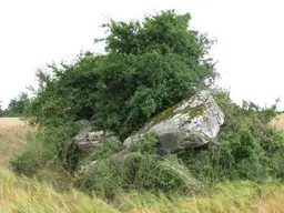 Dolmen dit la Roche aux Loups