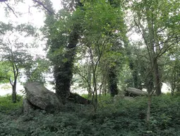 Allée couverte de Four-ès-Feins