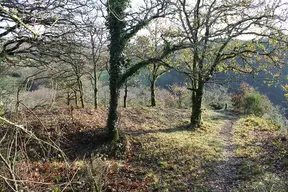 Camp protohistorique de Kastel-Ker-Nevé