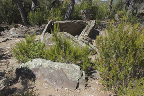 Dolmen Els Collets de Cotlliure