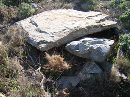 Dolmen Coll de Les Portes