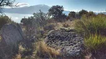 Dolmen de Sant Ponci