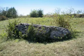 Dolmen dit La Pierre qui vire