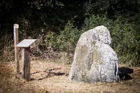 Menhir dit La Pierre à la Femme