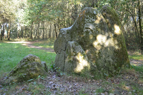 Menhirs des Dames de pierre