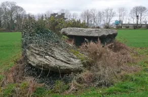 Dolmens de Coat Luzuen