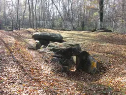 Dolmen de la Pierre-Plate situé dans la forêt de l'Isle-Adam