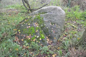 Menhir à cupules