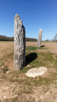 Menhir La Pierre-Fiche