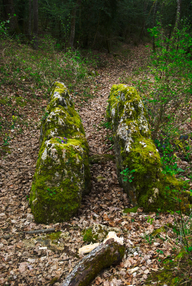 Dolmen dit Pierre-de-Matafin