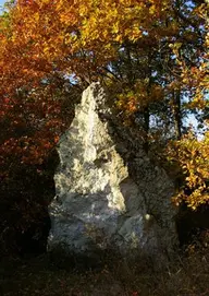 Menhir de la Pierre-aux-Joncs