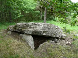 Dolmen de la Pineyre