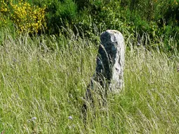 Menhir de Bargueyrac ou de la Pierre Plantade