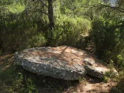 Dolmen n° 4 des Adrets