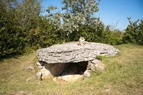 Deux tumuli-dolmens du Mont-de-Senne ou de Borgy