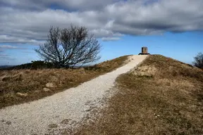 Agri Bavnehøj