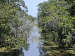 Jean Lafitte National Historic Park and Preserve - Barataria Preserve Unit