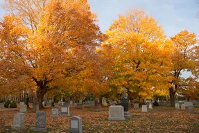 Walnut Grove Cemetery