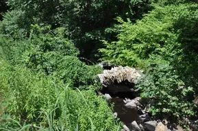 Mill Brook Bridge