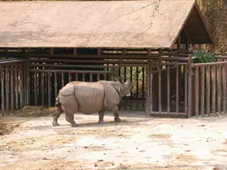 Chiang Mai Zoo