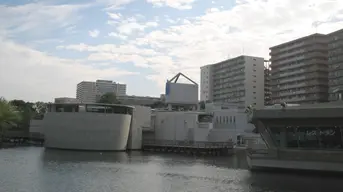 Shinagawa Aquarium