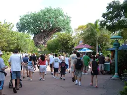 Disney's Animal Kingdom