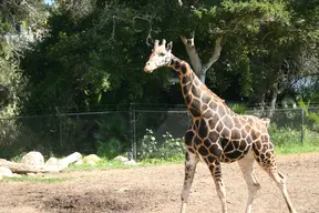 Santa Barbara Zoological Gardens