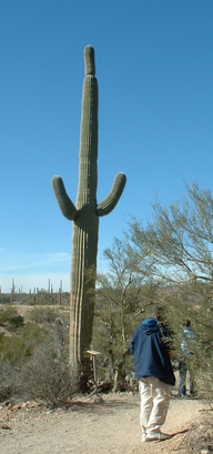 Arizona-Sonora Desert Museum