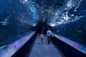 Newport Aquarium