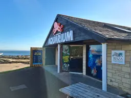 St Andrews Aquarium