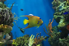 Aquarium Barcelona