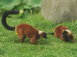 Zoo de la Bourbansais