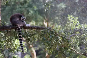 Zoo de Labenne