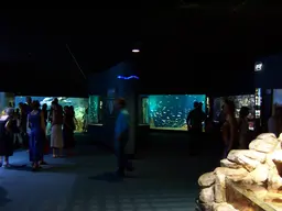 Aquarium de La Rochelle