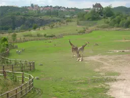 Prague Zoo