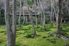 Giō-ji Temple